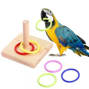 Plastic Ring Pet Supplies Bird Chew Toy Parrot Wooden Intelligence Training