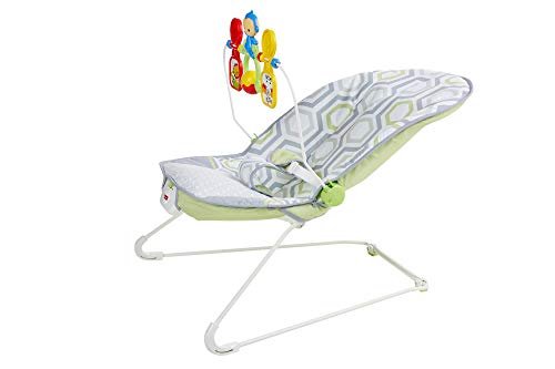 Fisher-Price Baby's Bouncer Geo Meadow