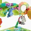 Fisher-Price Rainforest Music & Lights Deluxe Gym [Amazon Exclusive]
