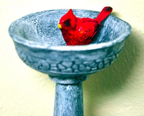 G & F MiniGardenn 10027 Fairy Garden Miniature, Cardinal Birdbath Pick
